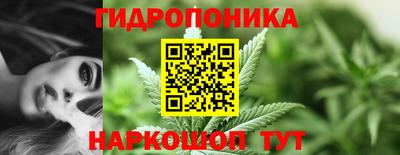 spice Рузаевка