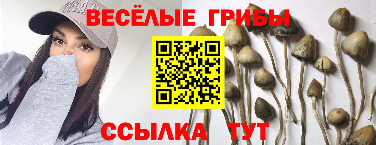 Галлюциногенные грибы Magic Shrooms  Вход с VPN  Сертолово 